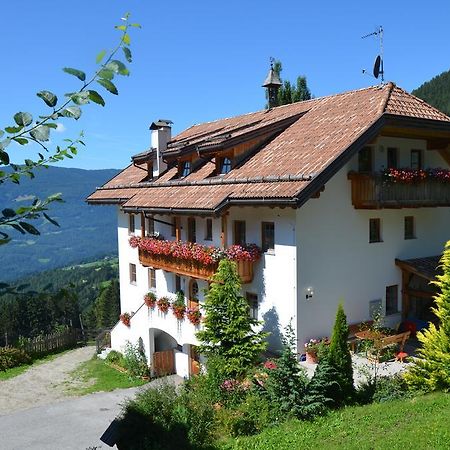 Baerntalerhof Villa Falzes Luaran gambar