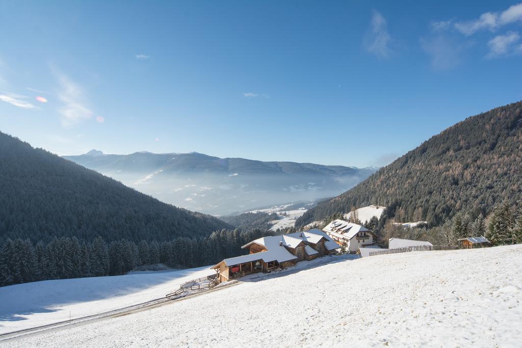 Baerntalerhof Villa Falzes Luaran gambar
