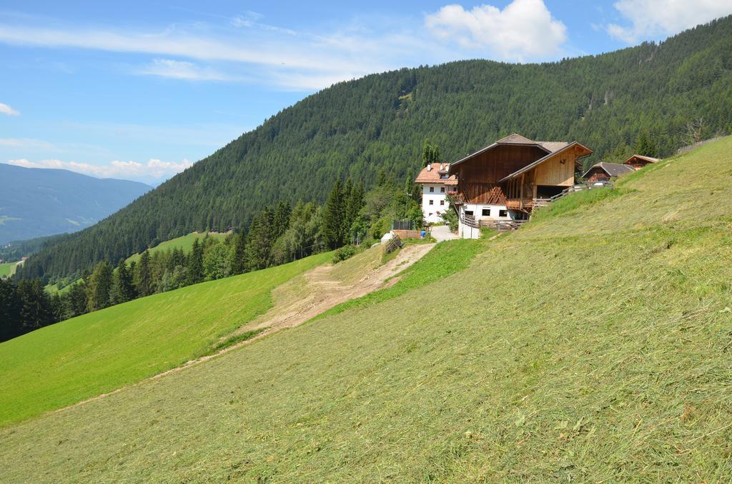 Baerntalerhof Villa Falzes Luaran gambar