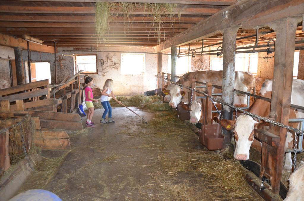 Baerntalerhof Villa Falzes Luaran gambar